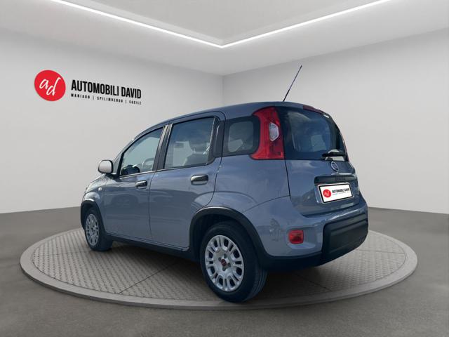Fiat Panda 1.0 FireFly S&S Hybrid - foto 3 di 4