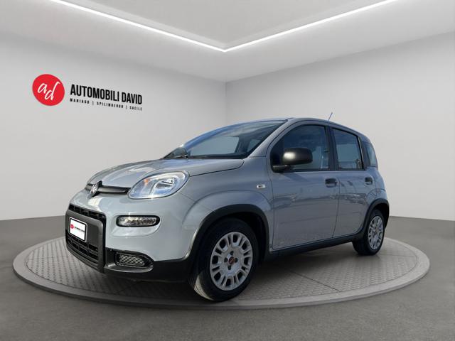Fiat Panda 1.0 FireFly S&S Hybrid usato a MANIAGO