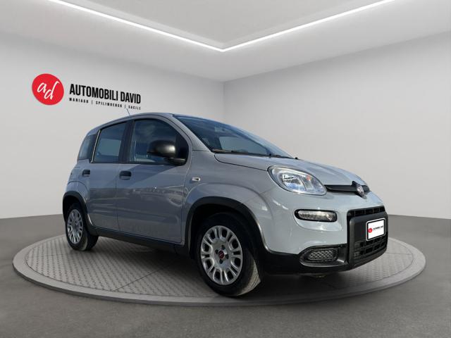 Fiat Panda 1.0 FireFly S&S Hybrid - foto 2 di 4