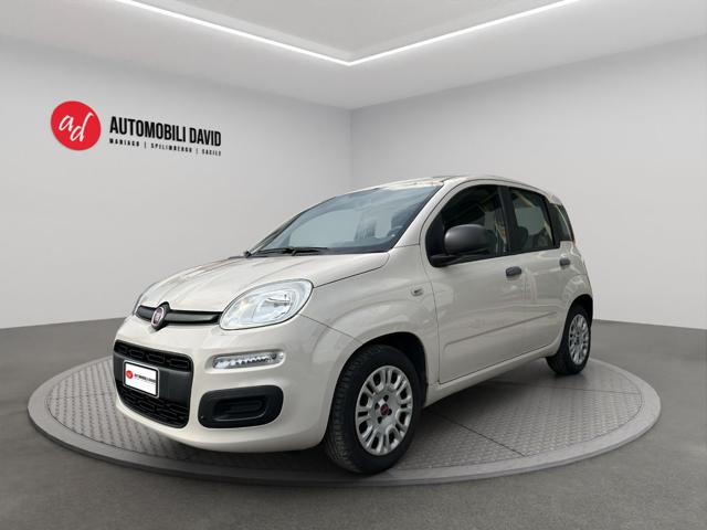 Fiat Panda 1.2 Easy usato a MANIAGO