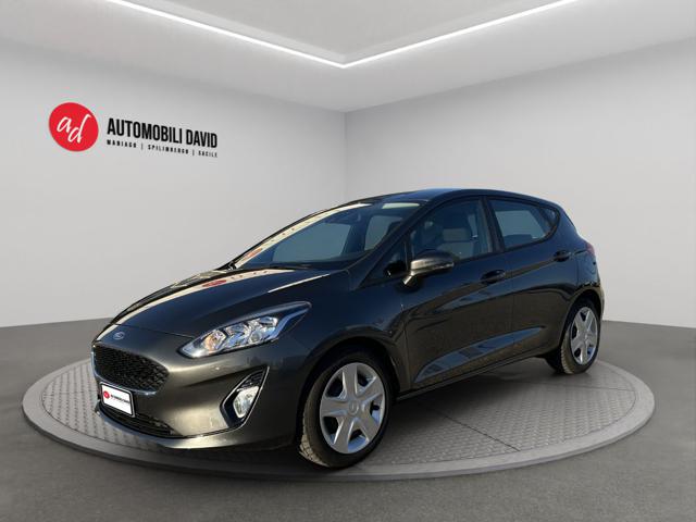 Ford Fiesta 1.5 TDCi 5 porte Titanium usato a MANIAGO