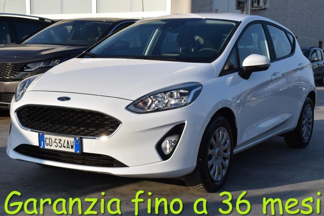 Ford Fiesta 1.5 EcoBlue 5 porte Business usato a SAN VITO DEI NORMANNI