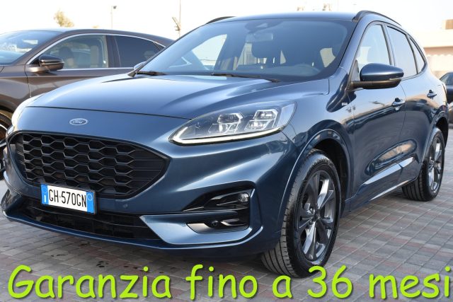Ford Kuga 1.5 EcoBlue 120 CV aut. 2WD ST-Line X usato a SAN VITO DEI NORMANNI