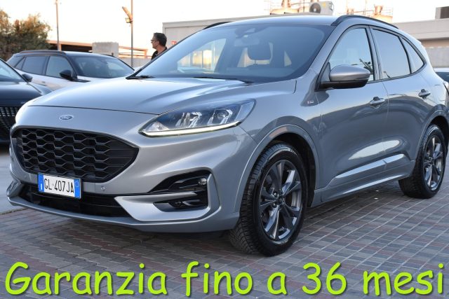 Ford Kuga 1.5 EcoBlue 120 CV 2WD ST-Line usato a SAN VITO DEI NORMANNI