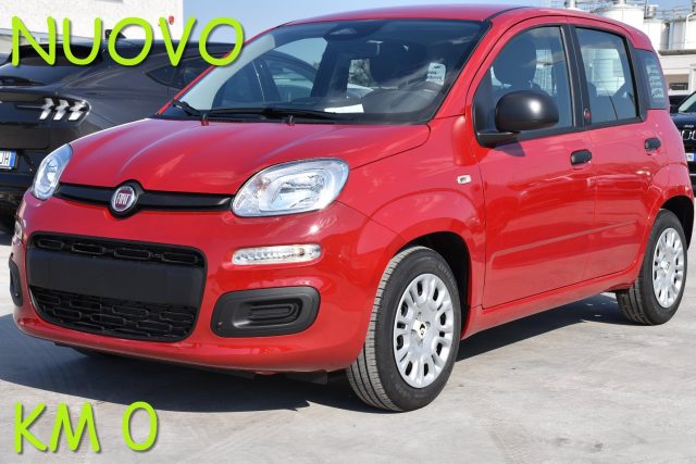 Fiat Panda 1.0 FireFly S&S Hybrid Icon *SENSORI* nuovo a SAN VITO DEI NORMANNI