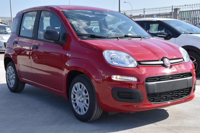 Fiat Panda 1.0 FireFly S&S Hybrid Icon *SENSORI* - foto 3 di 4