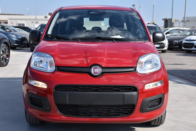 Fiat Panda 1.0 FireFly S&S Hybrid Icon *SENSORI* - foto 2 di 4