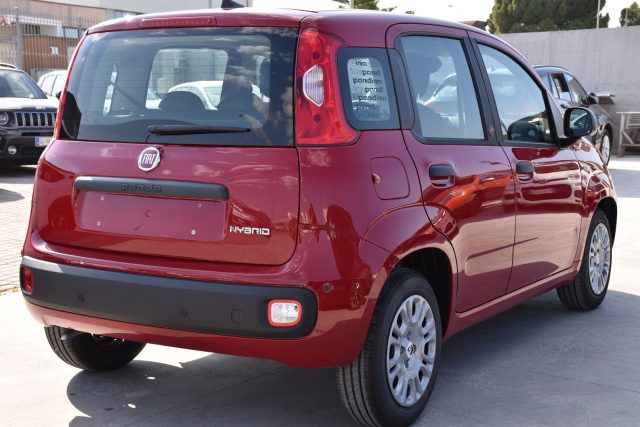 Fiat Panda 1.0 FireFly S&S Hybrid Icon *SENSORI* - foto 4 di 4