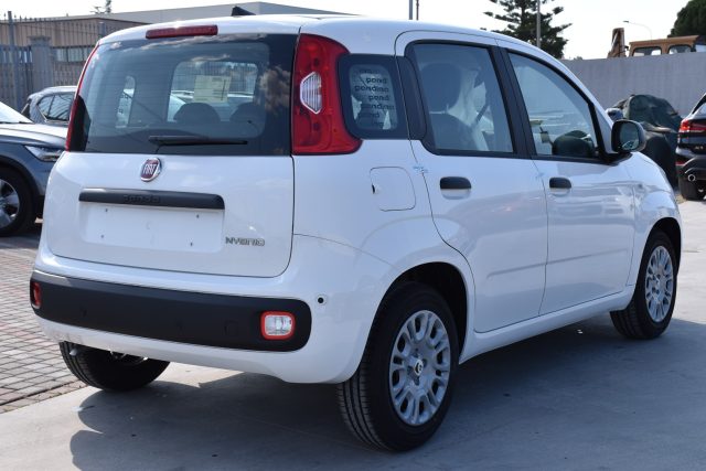 Fiat Panda 1.0 FireFly S&S Hybrid Icon *SENSORI* - foto 4 di 4