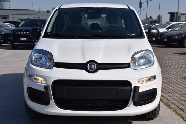 Fiat Panda 1.0 FireFly S&S Hybrid Icon *SENSORI* - foto 2 di 4