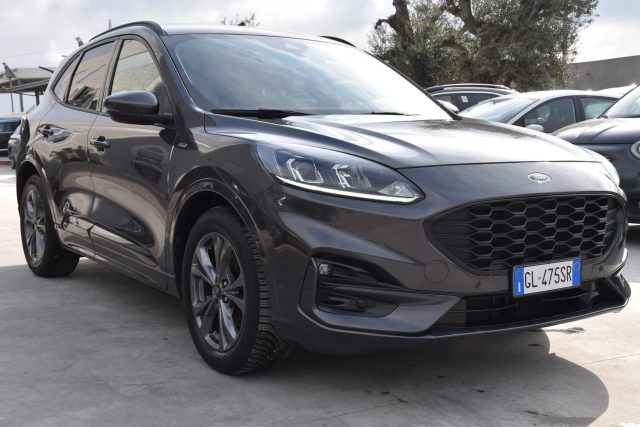 Ford Kuga 1.5 EcoBlue 120 CV 2WD ST-Line - foto 3 di 18