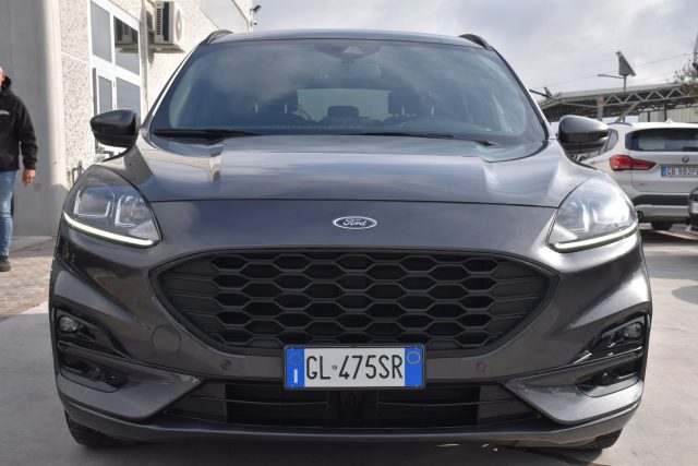 Ford Kuga 1.5 EcoBlue 120 CV 2WD ST-Line - foto 2 di 18