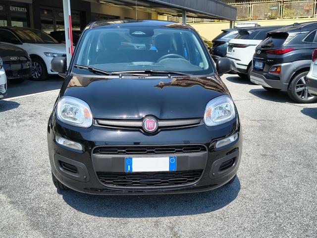Fiat Panda 1.0 ICON Hybrid - SCONTO EXTRA -3600 LUGLIO - foto 3 di 4