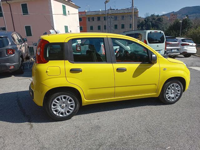 Fiat Panda 1.0 POP HYBRID - EXTRA SCONTO -4100 LUGLIO - foto 4 di 4