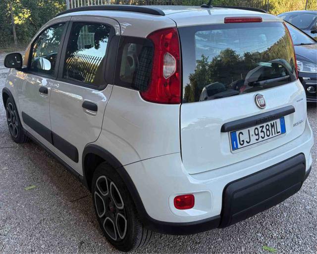 Fiat Panda 1.0 FireFly S&S Hybrid City Life - foto 3 di 4
