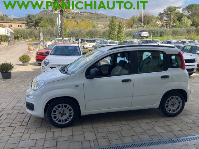 Fiat Panda 1.3 MJT S&S Easy usato a CORTONA