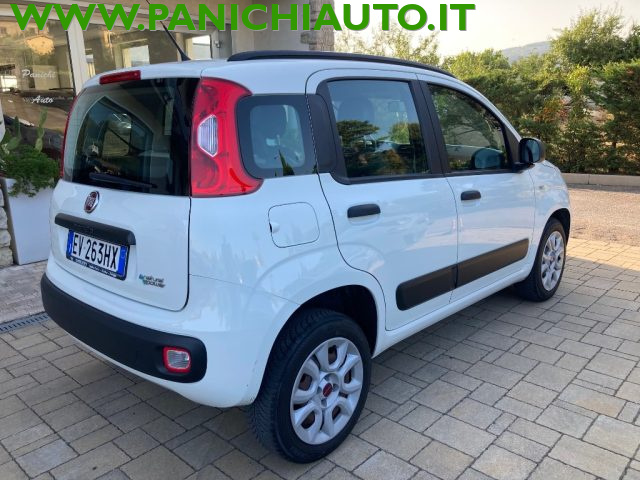 Fiat Panda 0.9 TwinAir Turbo Natural Power Easy usato a CORTONA