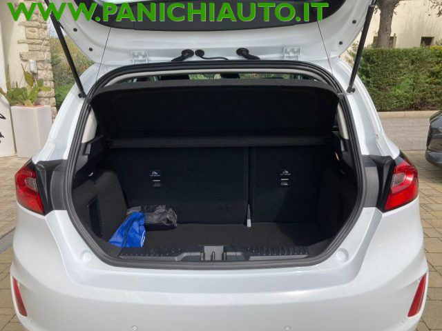 Ford Fiesta 1.1 75 CV GPL 5 porte Titanium usato a CORTONA