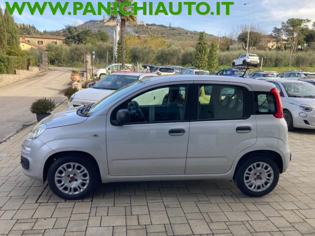 Fiat Panda 1.2 Easy - foto 2 di 4
