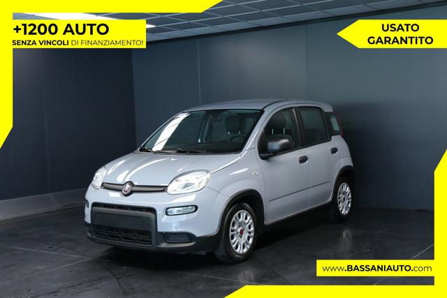 Fiat Panda 1.0 FireFly S&S Hybrid usato a ARSIè