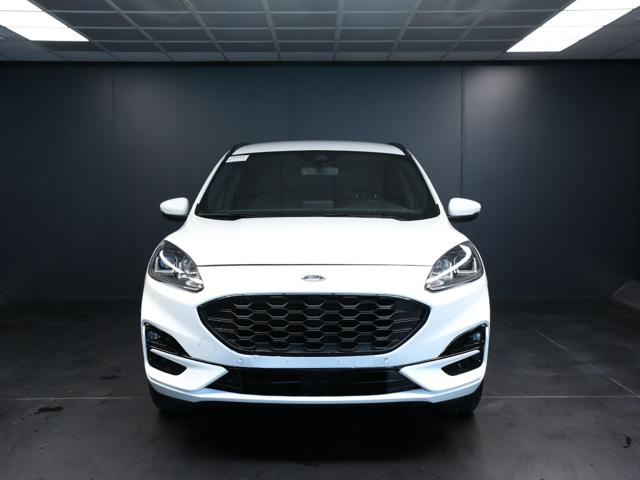 Ford Kuga 2.5 Plug In Hybrid 225 CV CVT 2WD ST-Line - foto 2 di 4