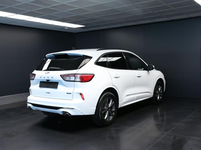 Ford Kuga 2.5 Plug In Hybrid 225 CV CVT 2WD ST-Line - foto 3 di 4