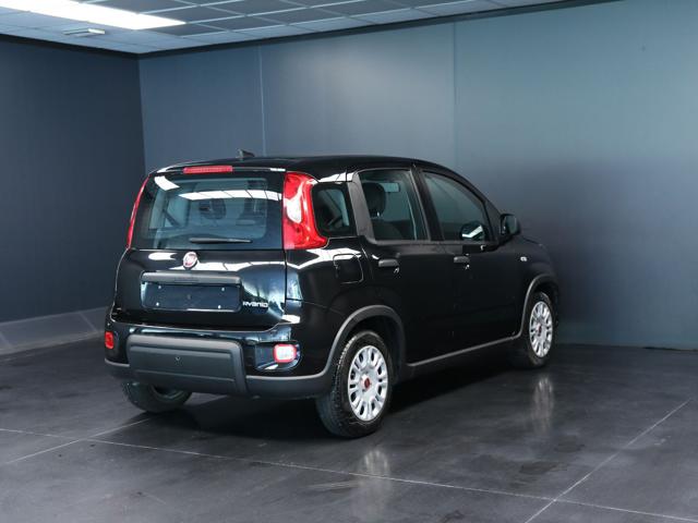 Fiat Panda 1.0 FireFly S&S Hybrid - foto 3 di 4