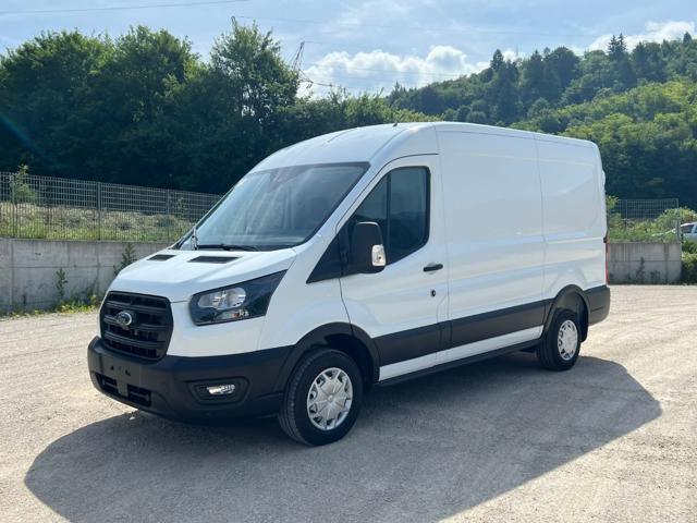 Ford Transit 310 2.0TDCi EcoBlue 130CV PM-TM Furgone Trend, del 2025, in vendita a ARSIè (BL)