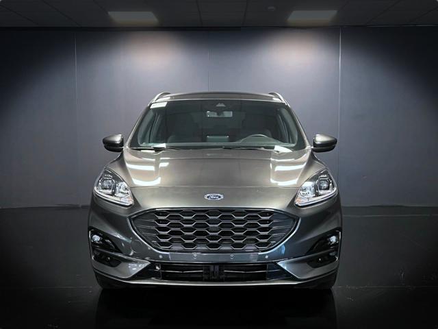 Ford Kuga 2.0 EcoBlue 120CV aut. 2WD ST-Line PROMO - foto 2 di 4
