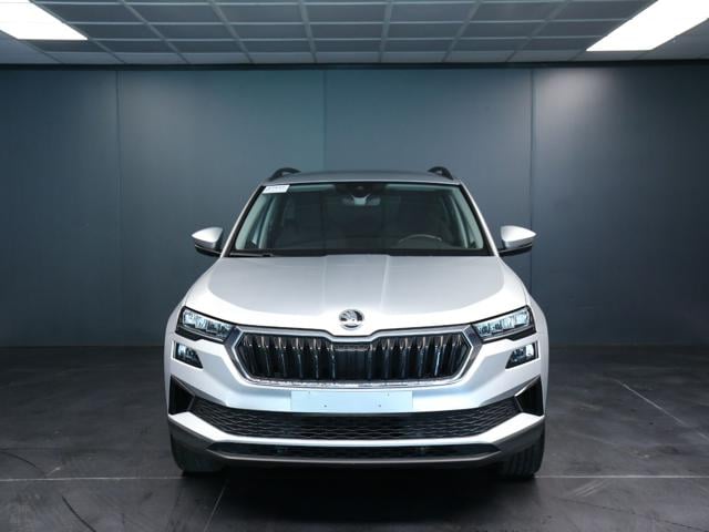 Skoda Karoq 2.0 TDI 116CV DSG Executive - foto 2 di 4