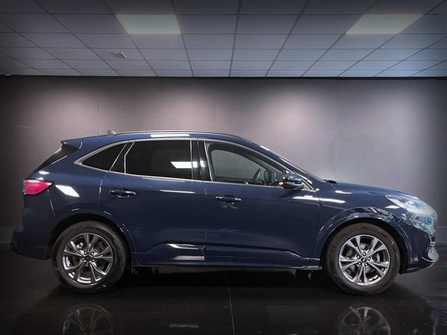 Ford Kuga 2.0 EcoBlue 120 CV aut. 2WD ST-Line PROMO - foto 4 di 4