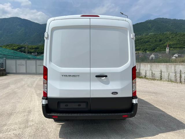 Ford Transit 310 2.0TDCi EcoBlue 130CV aut. PM-TM Furgone Trend, del 2025, in vendita a ARSIè (BL)