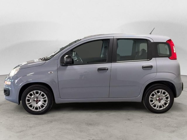 Fiat Panda EASY - foto 2 di 4