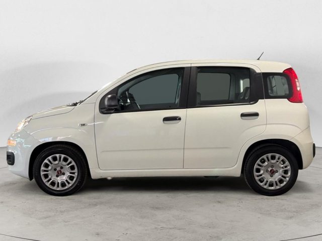 Fiat Panda 5 POSTI - foto 2 di 4