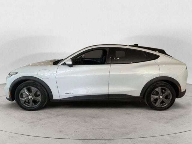 Ford Mustang much-e STANDARD RANGE - foto 4 di 4