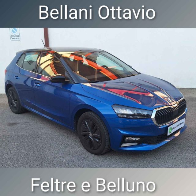 Skoda Fabia 1.0 TSI 95 CV Ambition usato a FELTRE