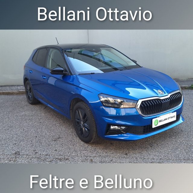 Skoda Fabia 1.0 MPI 80 CV 130 Edition usato a FELTRE