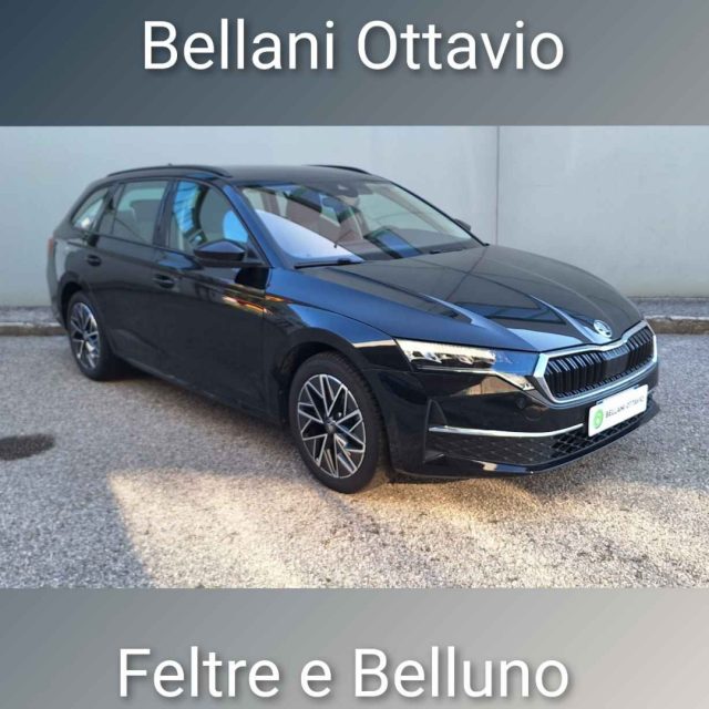 Skoda Octavia 2.0 TDI 150 CV DSG Wagon Executive usato a FELTRE