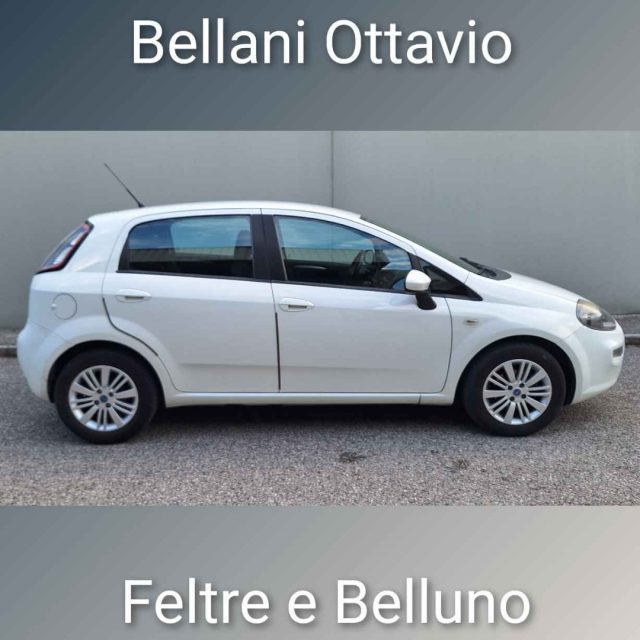 Fiat Punto 1.3 MJT II S&S 85 CV 5 porte ECO Lounge - foto 3 di 4