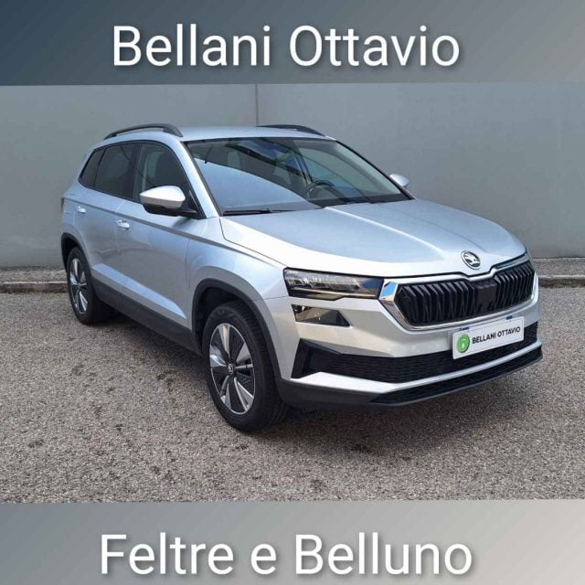 Skoda Karoq 2.0 TDI SCR 4x4 DSG Style usato a FELTRE