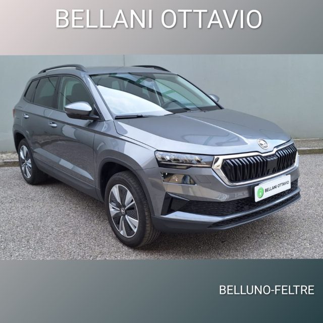 Skoda Karoq 1.0 TSI 110 CV Executive usato a FELTRE