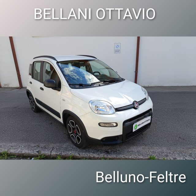 Fiat Panda 1.0 FireFly S&S Hybrid City Life usato a FELTRE