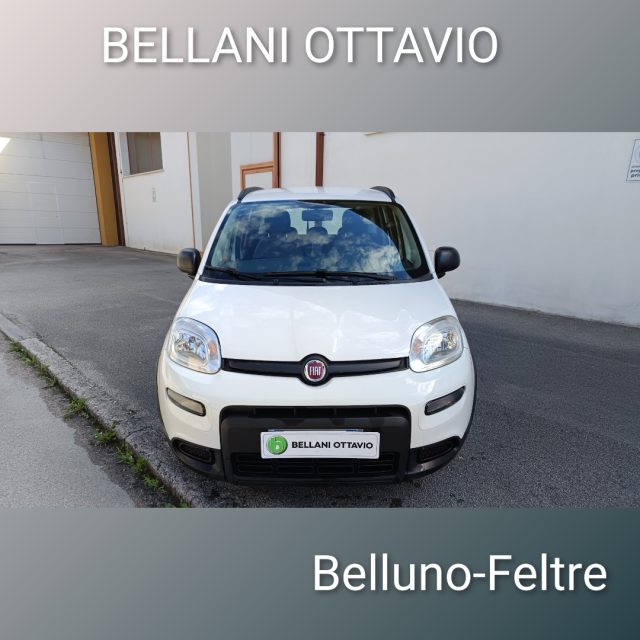 Fiat Panda 1.0 FireFly S&S Hybrid City Life - foto 2 di 11