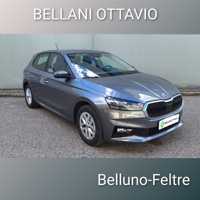 Skoda Fabia 1.0 MPI 80 CV Selection usato a FELTRE
