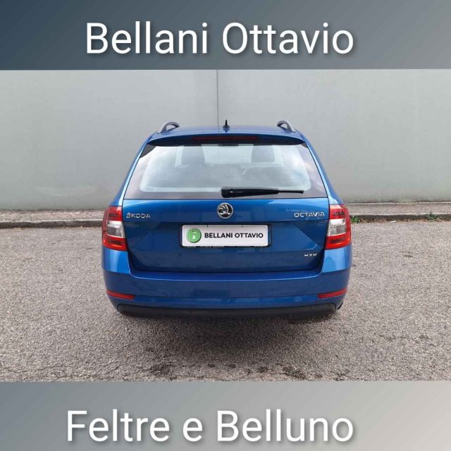 Skoda Octavia 2.0 TDI CR 4x4 Wagon Executive - foto 4 di 4