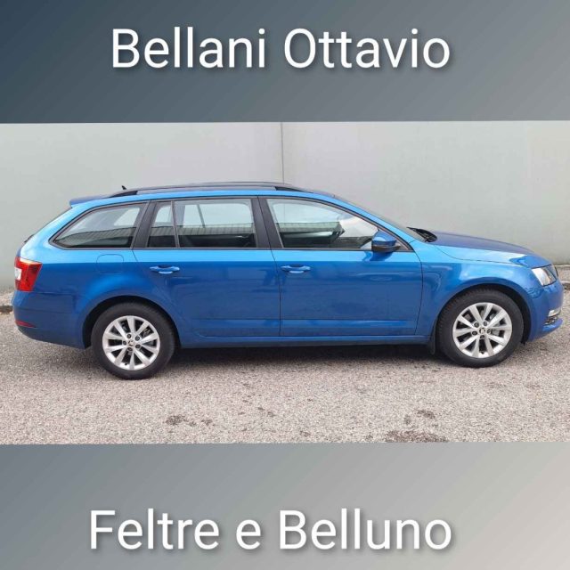 Skoda Octavia 2.0 TDI CR 4x4 Wagon Executive - foto 3 di 4