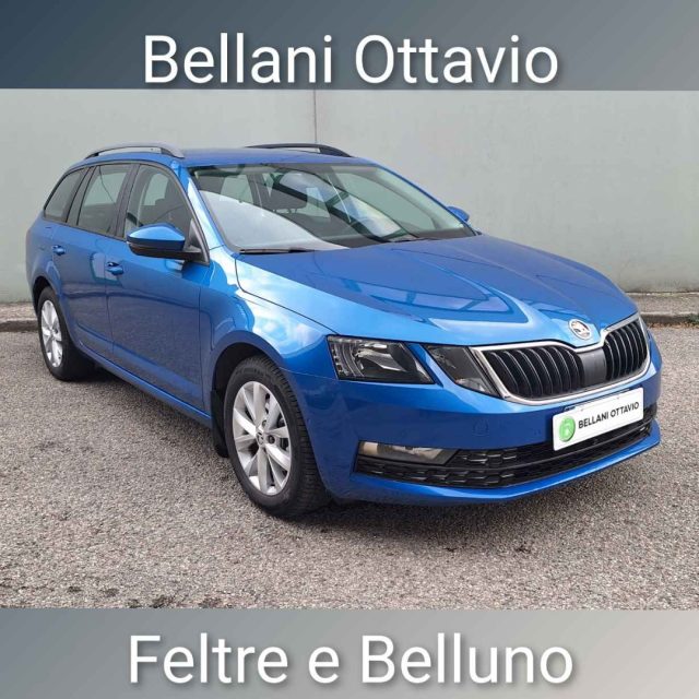Skoda Octavia 2.0 TDI CR 4x4 Wagon Executive usato a FELTRE