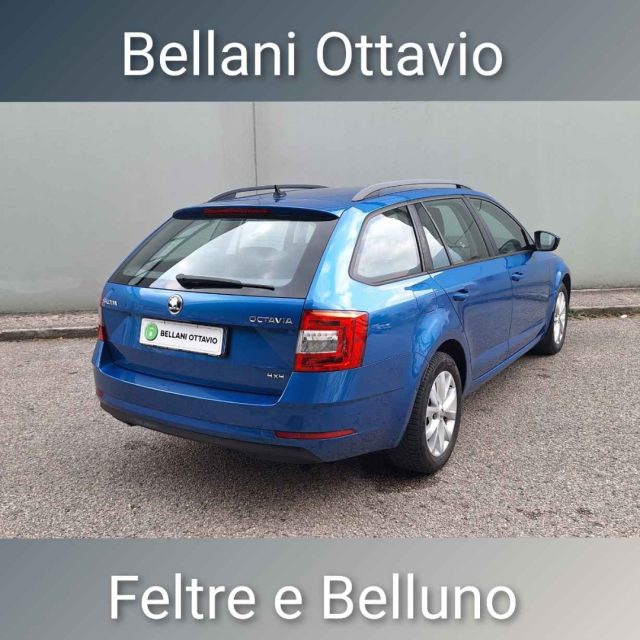 Skoda Octavia 2.0 TDI CR 4x4 Wagon Executive usato a FELTRE