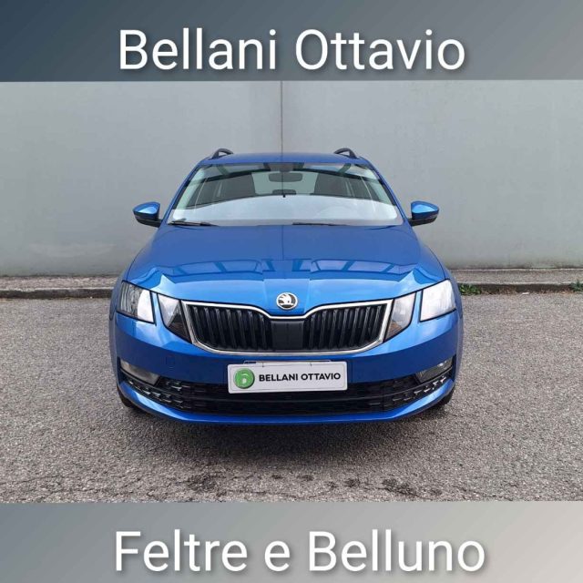 Skoda Octavia 2.0 TDI CR 4x4 Wagon Executive usato a FELTRE