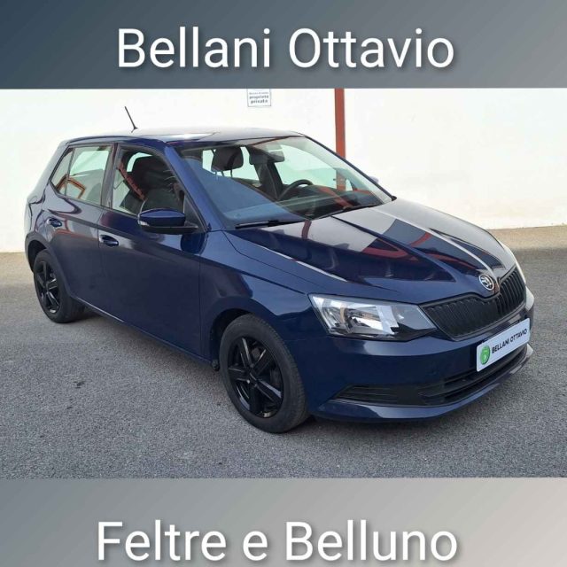 Skoda Fabia 1.4 TDI 75 CV Executive usato a FELTRE